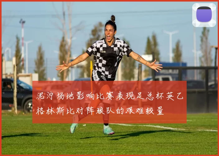 泥泞场地影响比赛表现足总杯英乙格林斯比对阵狼队的艰难较量