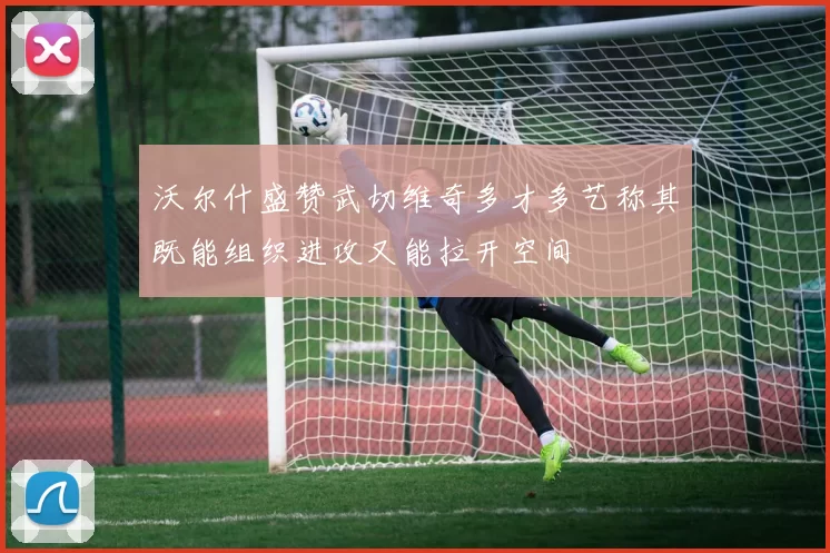 沃尔什盛赞武切维奇多才多艺称其既能组织进攻又能拉开空间