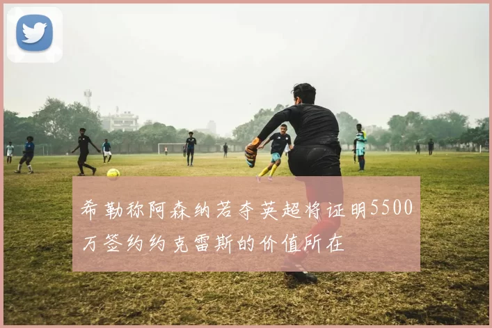 希勒称阿森纳若夺英超将证明5500万签约约克雷斯的价值所在